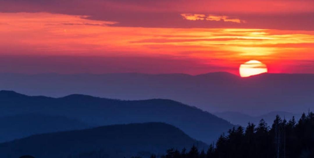 The Sunset Nest Offbeat Homestay دارجيلنغ المظهر الخارجي الصورة