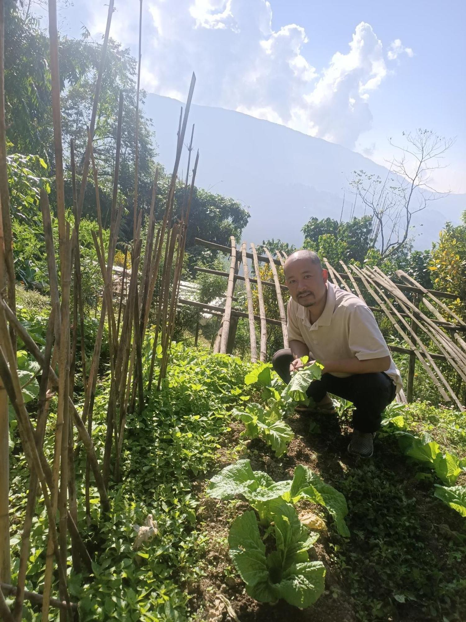 The Sunset Nest Offbeat Homestay دارجيلنغ المظهر الخارجي الصورة