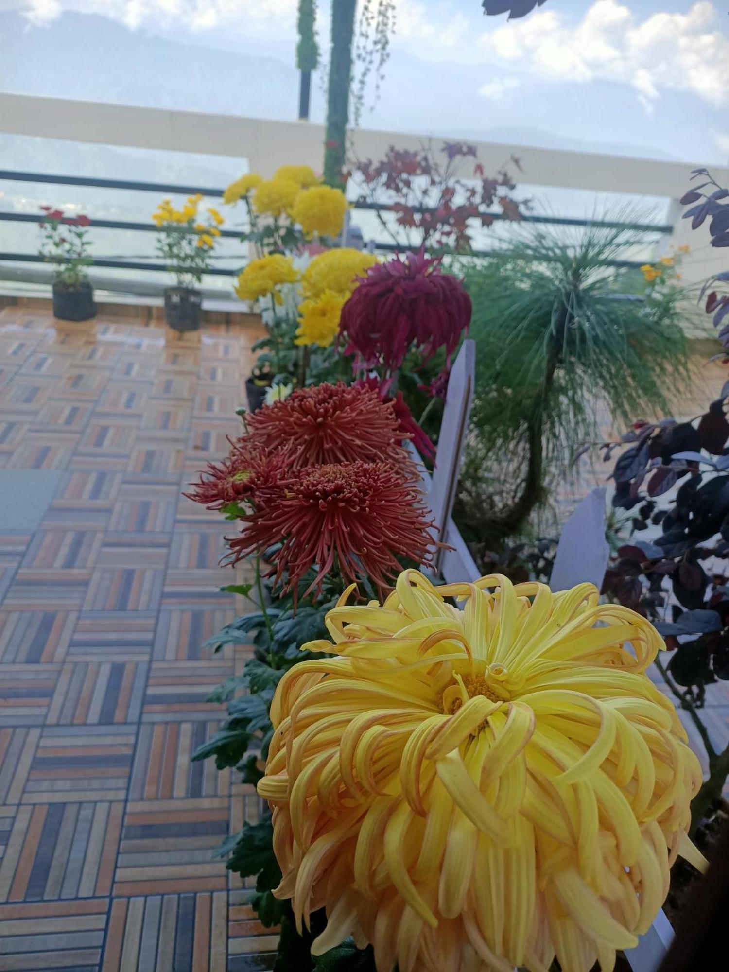 The Sunset Nest Offbeat Homestay دارجيلنغ المظهر الخارجي الصورة